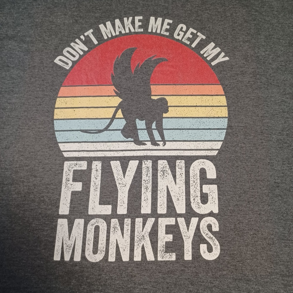 Port & Company Flying Monkeys Graphic T-Shirt Mens 4XL Gray Retro Sunset Tee
